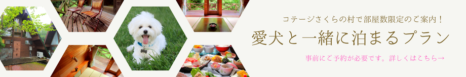 愛犬と一緒に泊まるプラン